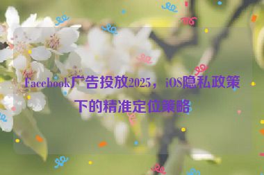 Facebook廣告投放2025，iOS隱私政策下的精準(zhǔn)定位策略