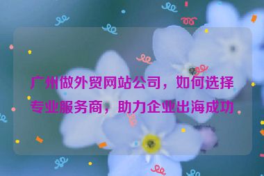 廣州做外貿(mào)網(wǎng)站公司，如何選擇專業(yè)服務(wù)商，助力企業(yè)出海成功