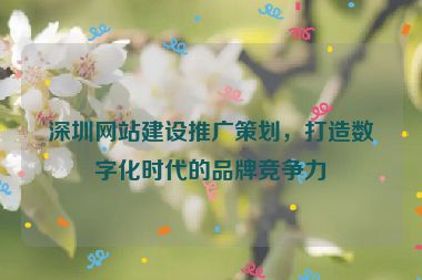 深圳網(wǎng)站建設(shè)推廣策劃，打造數(shù)字化時(shí)代的品牌競爭力