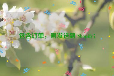 包含訂單，則發(fā)送到 Shopify；