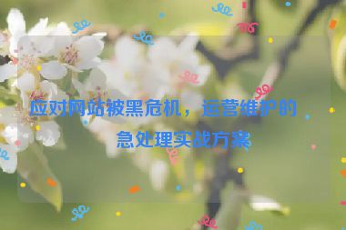 應(yīng)對網(wǎng)站被黑危機(jī)，運(yùn)營維護(hù)的應(yīng)急處理實(shí)戰(zhàn)方案