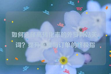 如何選擇高轉(zhuǎn)化率的外貿(mào)網(wǎng)站關(guān)鍵詞？提升流量與訂單的終極指南