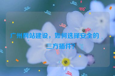 廣州網站建設，如何選擇安全的第三方插件？