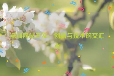 深圳網(wǎng)站開發(fā)，創(chuàng)新與技術(shù)的交匯點