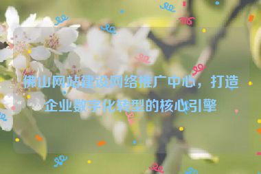 佛山網站建設網絡推廣中心，打造企業(yè)數(shù)字化轉型的核心引擎