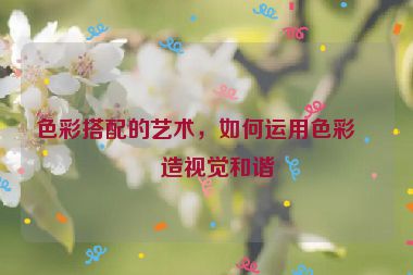 色彩搭配的藝術(shù)，如何運(yùn)用色彩創(chuàng)造視覺和諧