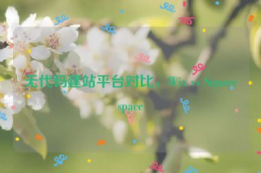 無代碼建站平臺對比，Wix vs Squarespace