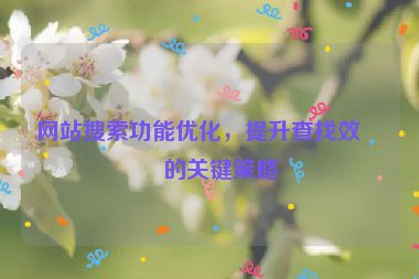 網(wǎng)站搜索功能優(yōu)化，提升查找效率的關(guān)鍵策略