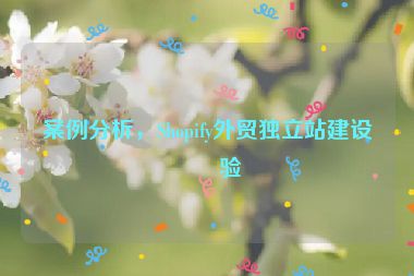 案例分析，Shopify外貿(mào)獨(dú)立站建設(shè)經(jīng)驗(yàn)