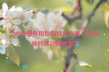 AMP頁(yè)面棄用后的替代方案，如何保持移動(dòng)端速度？