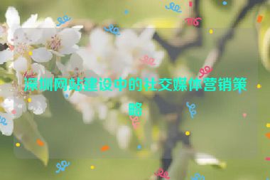 深圳網(wǎng)站建設(shè)中的社交媒體營(yíng)銷策略