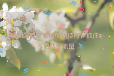 移動(dòng)端百度競(jìng)價(jià)優(yōu)化技巧，抓住80%的搜索流量