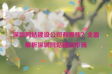 深圳網(wǎng)站建設(shè)公司有哪些？全面解析深圳網(wǎng)站建設(shè)市場