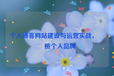 個人博客網(wǎng)站建設(shè)與運營實戰(zhàn)，打造個人品牌