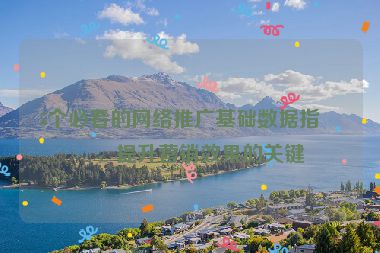 5個必看的網(wǎng)絡(luò)推廣基礎(chǔ)數(shù)據(jù)指標，提升營銷效果的關(guān)鍵