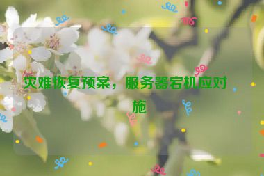 災(zāi)難恢復(fù)預(yù)案，服務(wù)器宕機應(yīng)對措施
