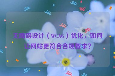 無障礙設(shè)計（WCAG）優(yōu)化，如何讓網(wǎng)站更符合合規(guī)要求？