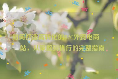 如何打造高轉(zhuǎn)化的B2C外貿(mào)電商網(wǎng)站，從策略到執(zhí)行的完整指南