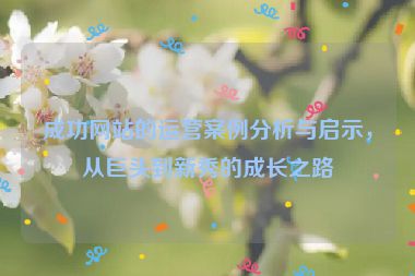 成功網(wǎng)站的運營案例分析與啟示，從巨頭到新秀的成長之路