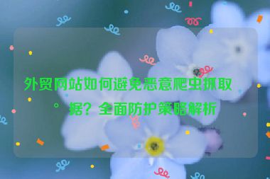 外貿(mào)網(wǎng)站如何避免惡意爬蟲(chóng)抓取數(shù)據(jù)？全面防護(hù)策略解析
