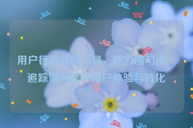 用戶行為分析工具，熱力圖與點擊追蹤如何提升用戶體驗與轉(zhuǎn)化率