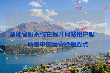 智能客服系統(tǒng)在提升網(wǎng)站用戶服務(wù)質(zhì)量中的運(yùn)營管理要點(diǎn)