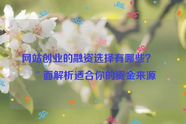網(wǎng)站創(chuàng)業(yè)的融資選擇有哪些？全面解析適合你的資金來源