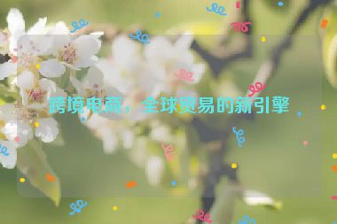 跨境電商，全球貿(mào)易的新引擎