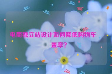 電商獨(dú)立站設(shè)計(jì)如何降低購(gòu)物車(chē)棄置率？