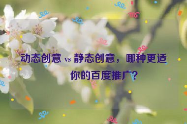 動(dòng)態(tài)創(chuàng)意 vs 靜態(tài)創(chuàng)意，哪種更適合你的百度推廣？