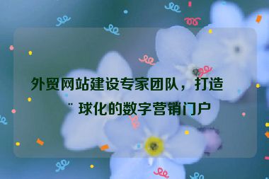 外貿(mào)網(wǎng)站建設(shè)專家團(tuán)隊(duì)，打造全球化的數(shù)字營銷門戶