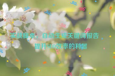 實戰(zhàn)腳本，自動生成關(guān)鍵詞報告—提升SEO效率的利器