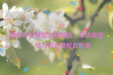 網(wǎng)站色彩搭配工具指南，打造視覺吸引力的完美配色方案