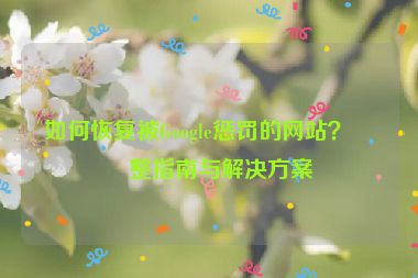 如何恢復(fù)被Google懲罰的網(wǎng)站？完整指南與解決方案
