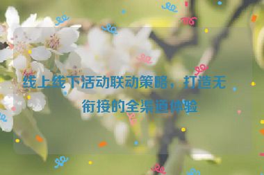 線上線下活動聯(lián)動策略，打造無縫銜接的全渠道體驗