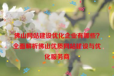 佛山網站建設優(yōu)化企業(yè)有哪些？全面解析佛山優(yōu)質網站建設與優(yōu)化服務商