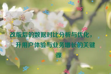 改版后的數(shù)據(jù)對(duì)比分析與優(yōu)化，提升用戶(hù)體驗(yàn)與業(yè)務(wù)增長(zhǎng)的關(guān)鍵步驟