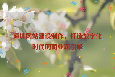 深圳網(wǎng)站建設(shè)制作，打造數(shù)字化時代的商業(yè)新引擎