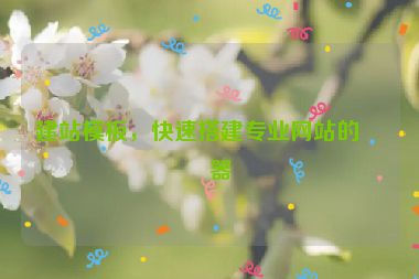 建站模板，快速搭建專業(yè)網(wǎng)站的利器