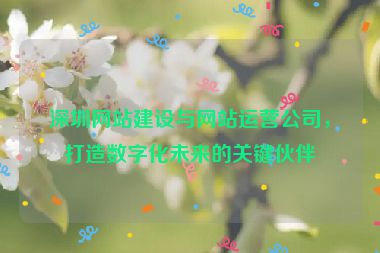 深圳網(wǎng)站建設(shè)與網(wǎng)站運營公司，打造數(shù)字化未來的關(guān)鍵伙伴
