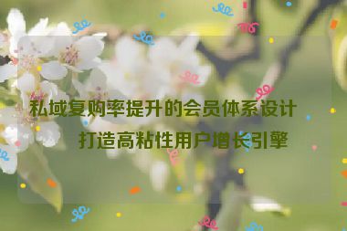 私域復(fù)購率提升的會員體系設(shè)計，打造高粘性用戶增長引擎