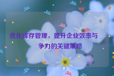 優(yōu)化庫存管理，提升企業(yè)效率與競爭力的關(guān)鍵策略