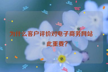 為什么客戶評價對電子商務網(wǎng)站如此重要？