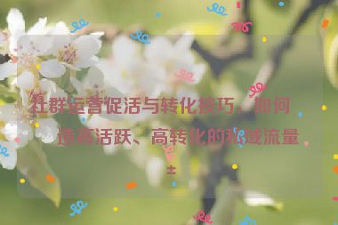 社群運(yùn)營(yíng)促活與轉(zhuǎn)化技巧，如何打造高活躍、高轉(zhuǎn)化的私域流量池