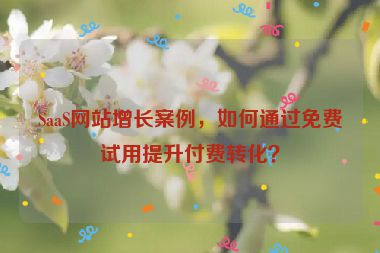 SaaS網(wǎng)站增長案例，如何通過免費試用提升付費轉(zhuǎn)化？