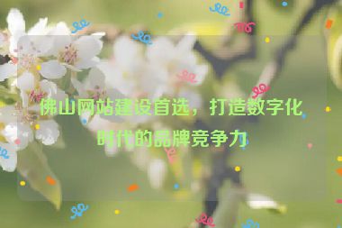 佛山網(wǎng)站建設(shè)首選，打造數(shù)字化時代的品牌競爭力