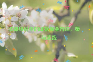 法律糾紛中的證據(jù)保全方法，策略與實踐