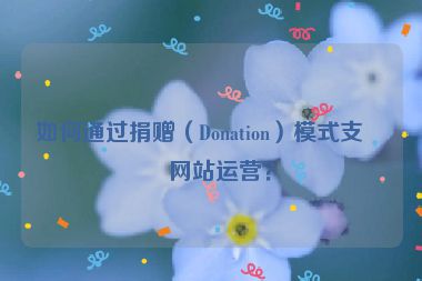 如何通過捐贈（Donation）模式支持網(wǎng)站運營？