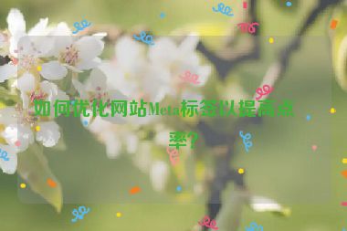 如何優(yōu)化網(wǎng)站Meta標簽以提高點擊率？