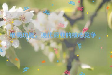 電商功能，現(xiàn)代商業(yè)的核心競爭力